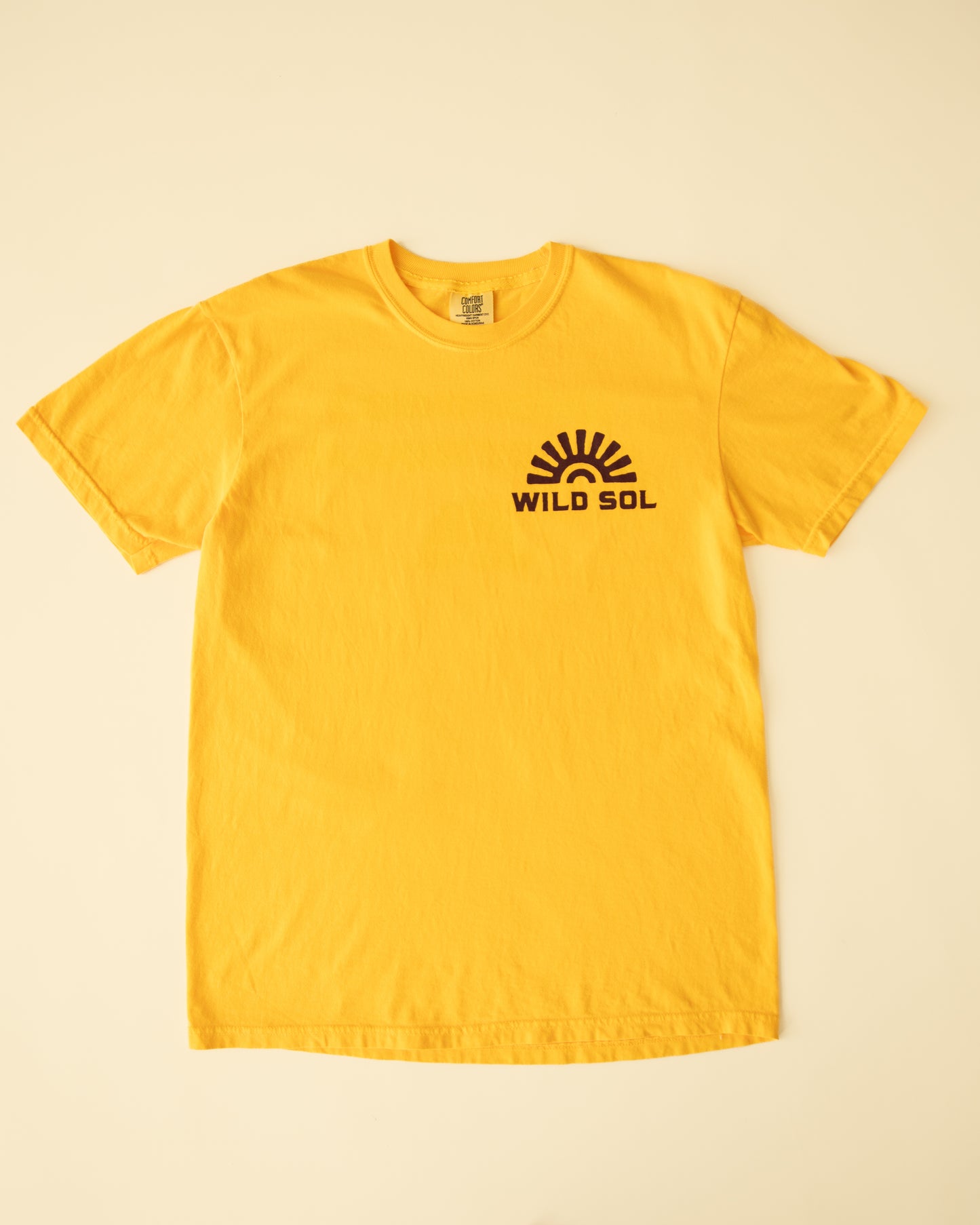 Dip Responsibly Tee - Citrus